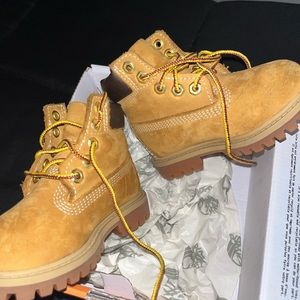Timberlands Toddler size 6c